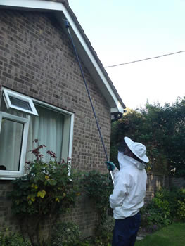 Tower Hill Wasp Control, Wasp nest treatment - removal only £45.00 no extra, 100% guarantee with no hidden extras or nasty surprises. T:0121 450 9784 