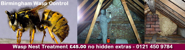 Edgbaston Wasp Control, Wasp nest treatment and removal only £45.00 no extra, 100% guarantee with no hidden extras or nasty surprises. T:0121 450 9784 